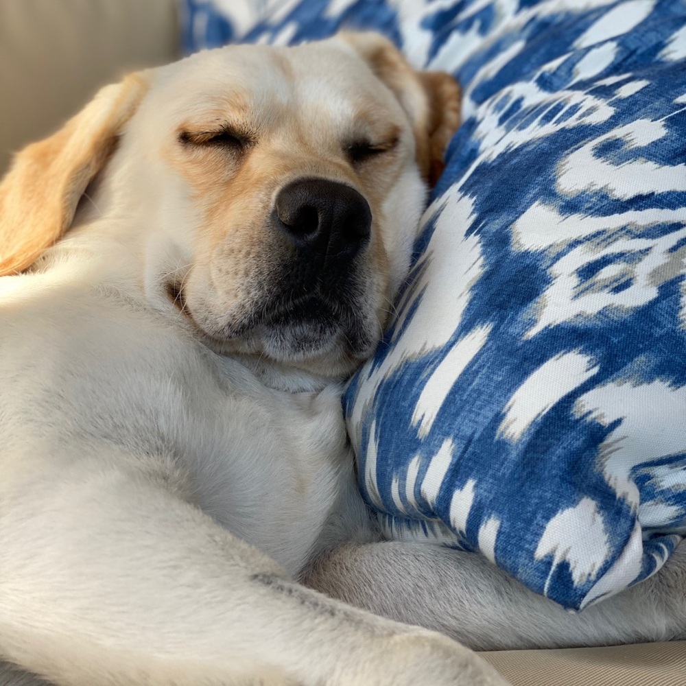 Meet your Posher, Jen